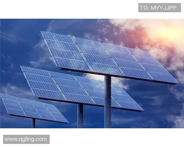 深圳羽毛球队在洲际杯中的蜕变与新篇章探索之路 深圳羽毛球队在洲际杯中的蜕变与新篇章探索之路