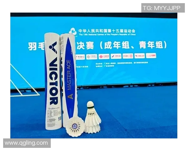 羽毛球灵活性排行榜揭晓杭州羽毛球队荣登第八位展现实力与潜力