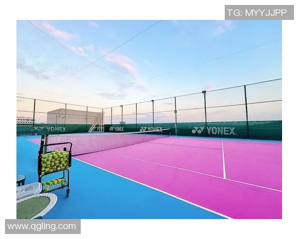 南京网球队在钻石联赛中的实力展现与未来发展潜力分析