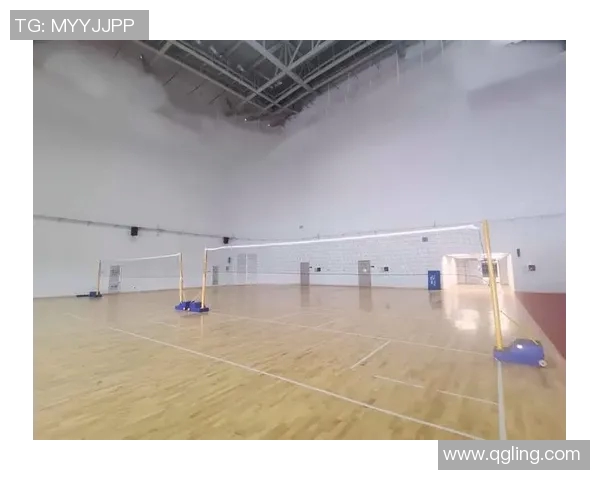 南京羽毛球队挑战赛背后的拼搏故事与奋斗精神全景揭秘