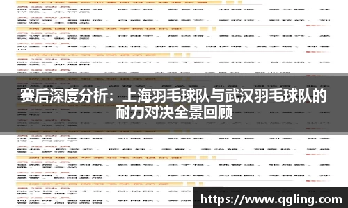 赛后深度分析：上海羽毛球队与武汉羽毛球队的耐力对决全景回顾