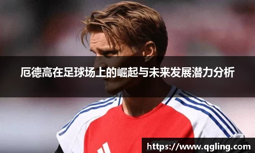 完美体育平台