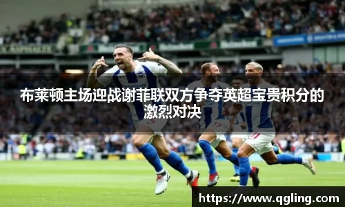 完美体育平台