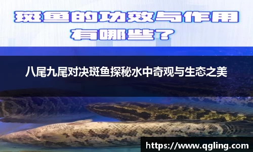 完美体育APP