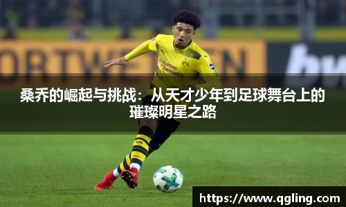 完美体育官网